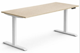 Electric Height Adjustable Standing Desk – ST Series (140/160/180 cm)